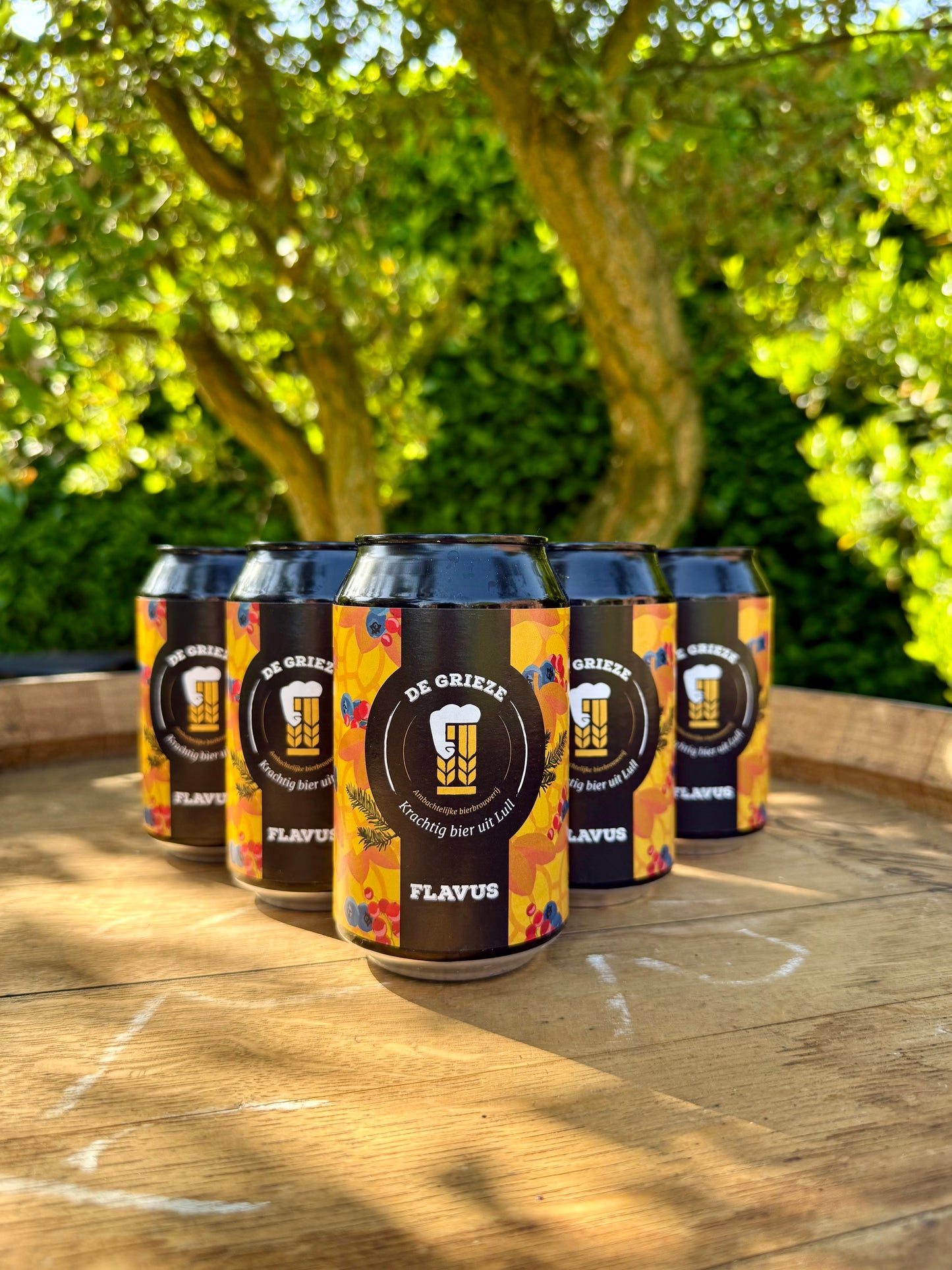 Flavus | 5 Blikken